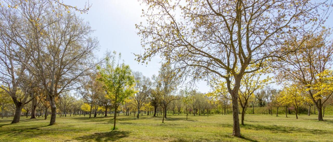 Goldhome - Puigmalc Empuriabrava Kültér fotó